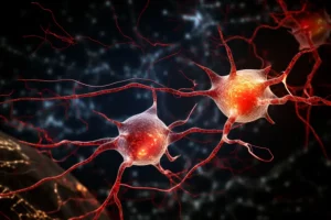 ارتباط پروتئین مغز راههای تازه ای برای درمان اسکیزوفرنی ارائه می دهد